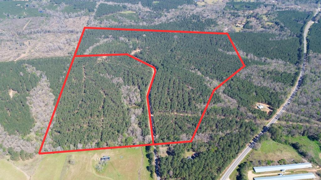 Northeast Lincoln Parish Timberland for Sale