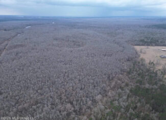 431± Acres with Calcasieu River Frontage in Calcasieu Parish