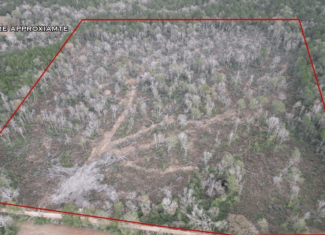 36 Acres in Pike County, Mississippi – Scenic Rural Retreat