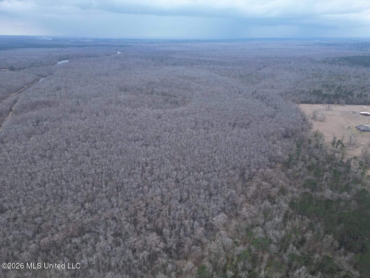 431± Acres with Calcasieu River Frontage in Calcasieu Parish