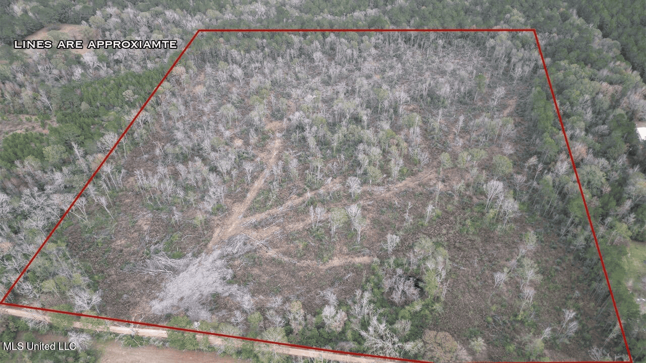 36 Acres in Pike County, Mississippi – Scenic Rural Retreat