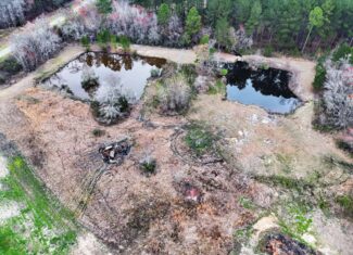 This 38 acres offers a hunting retreat or recreational getaway in Worth Cty GA