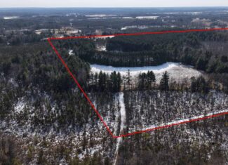 Portage County Wisconsin 80 Acres of Hunting Land for Sale