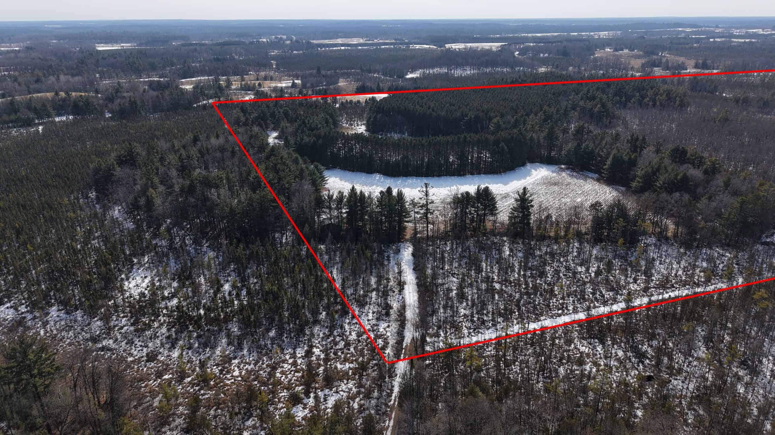 Portage County Wisconsin 80 Acres of Hunting Land for Sale