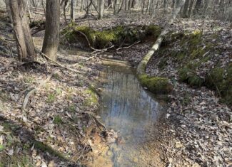 LAND & HOME FOR SALE IN TN, BASEMENT, WELL, CREEK, WOODED