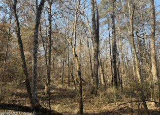 Land for Sale in Simpson County