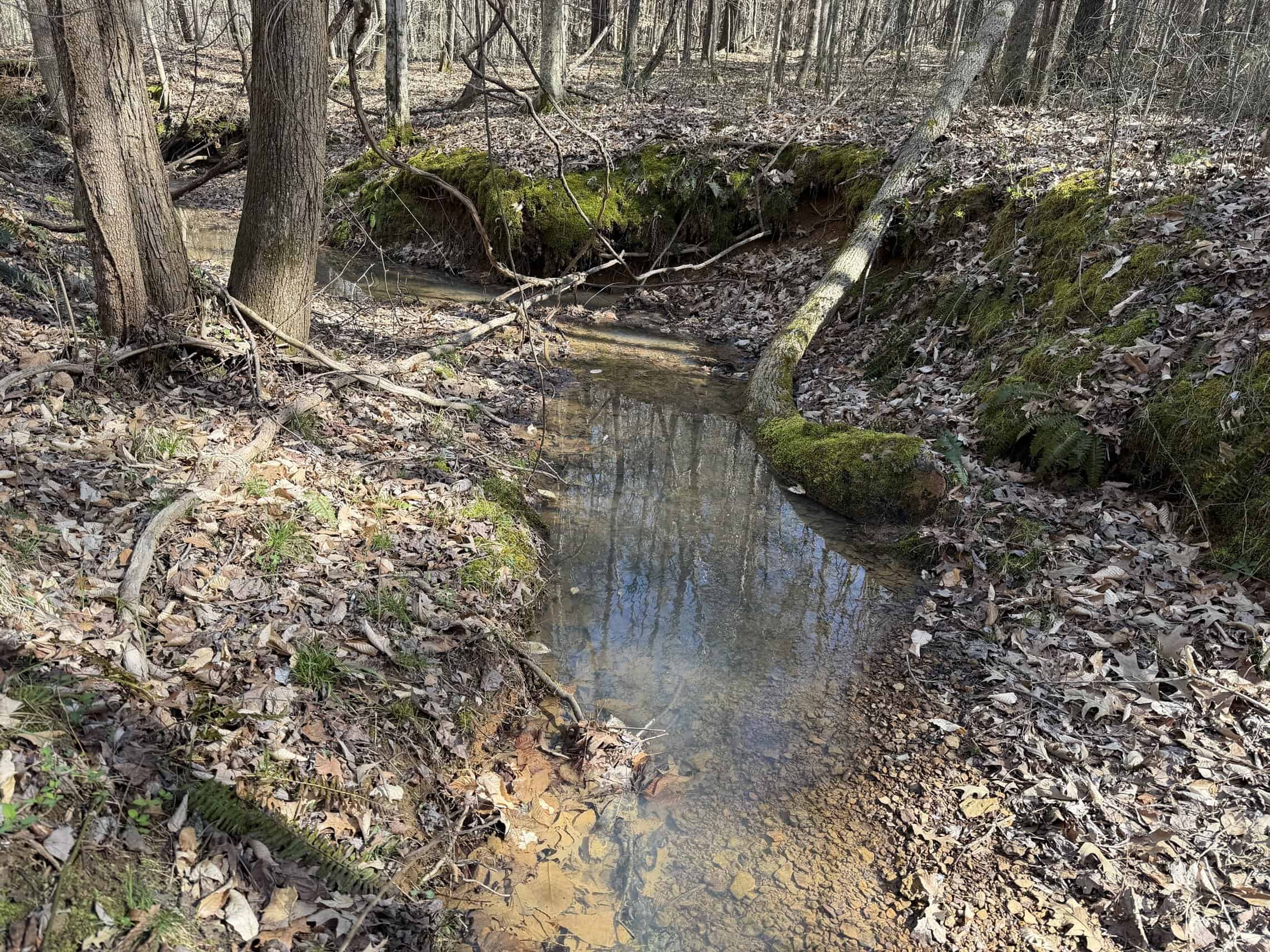 LAND & HOME FOR SALE IN TN, BASEMENT, WELL, CREEK, WOODED