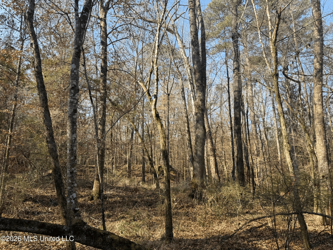 Land for Sale in Simpson County