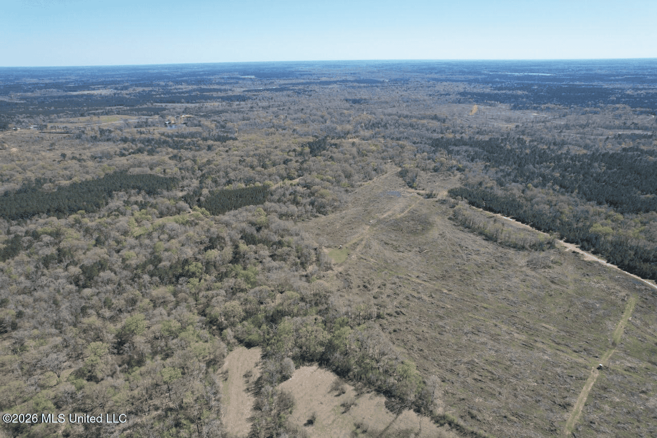123± Acres Centreville MS on Chance Rd Amite County