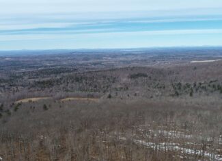Expansive Mountain-View Acreage with Timber Value & Road Frontage
