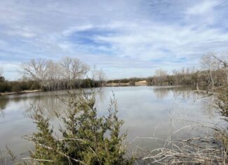 Exceptional 60-Acre Property Benton, KS