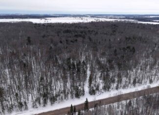 43+/-  Acre Marathon County Hunting, Timber and Rec Tract For Sale