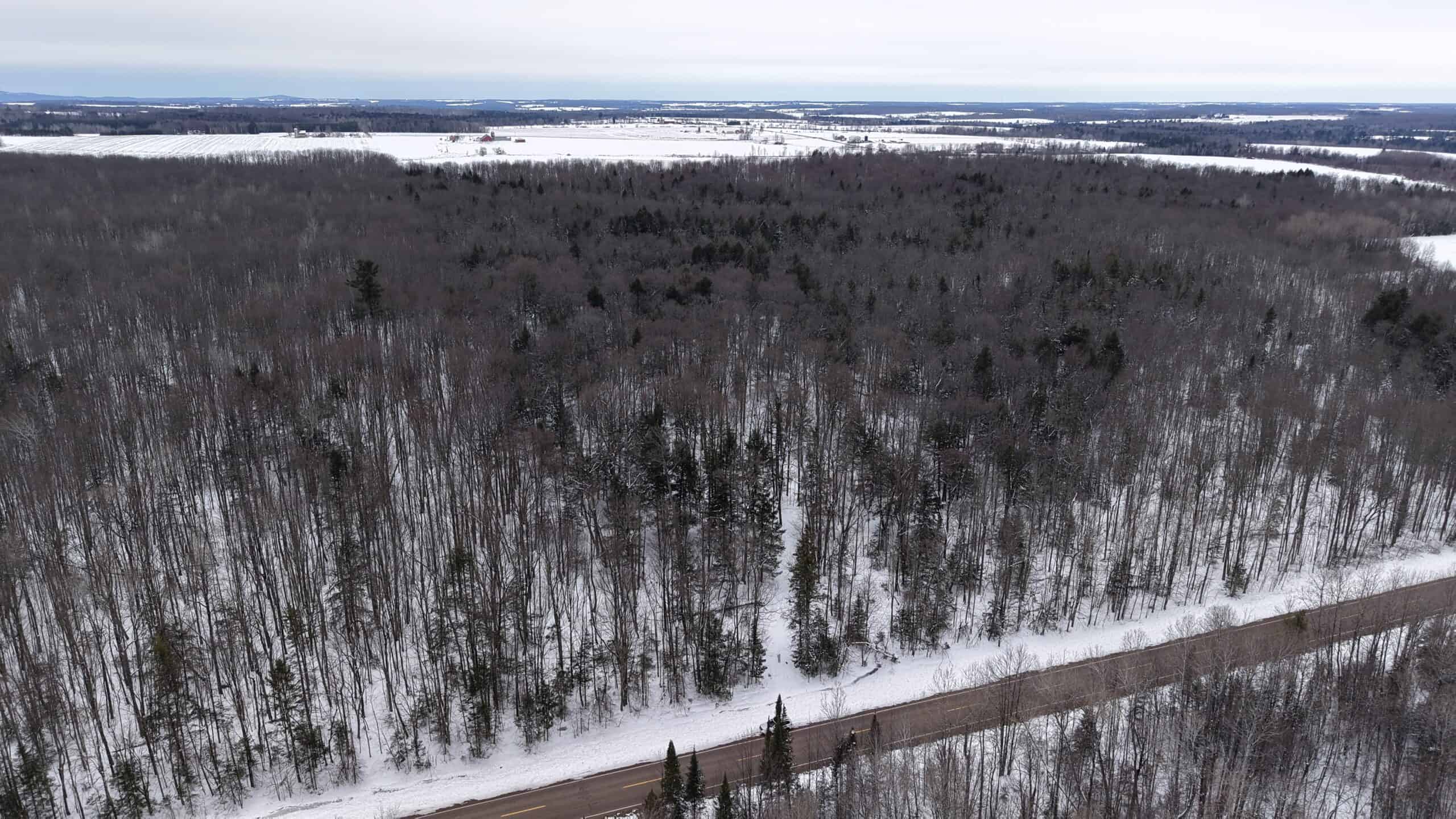 43+/-  Acre Marathon County Hunting, Timber and Rec Tract For Sale