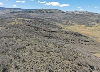 36 Acres in Harrison Creek, Collbran,  CO
