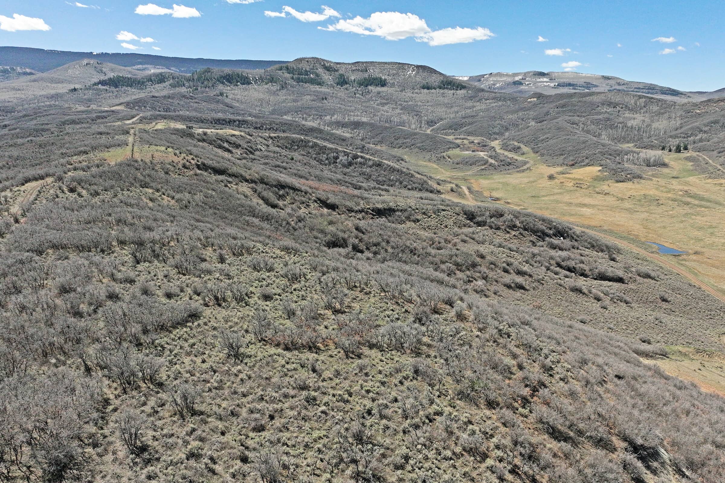 36 Acres in Harrison Creek, Collbran,  CO