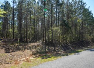 Northeast Lincoln Parish Timberland for Sale