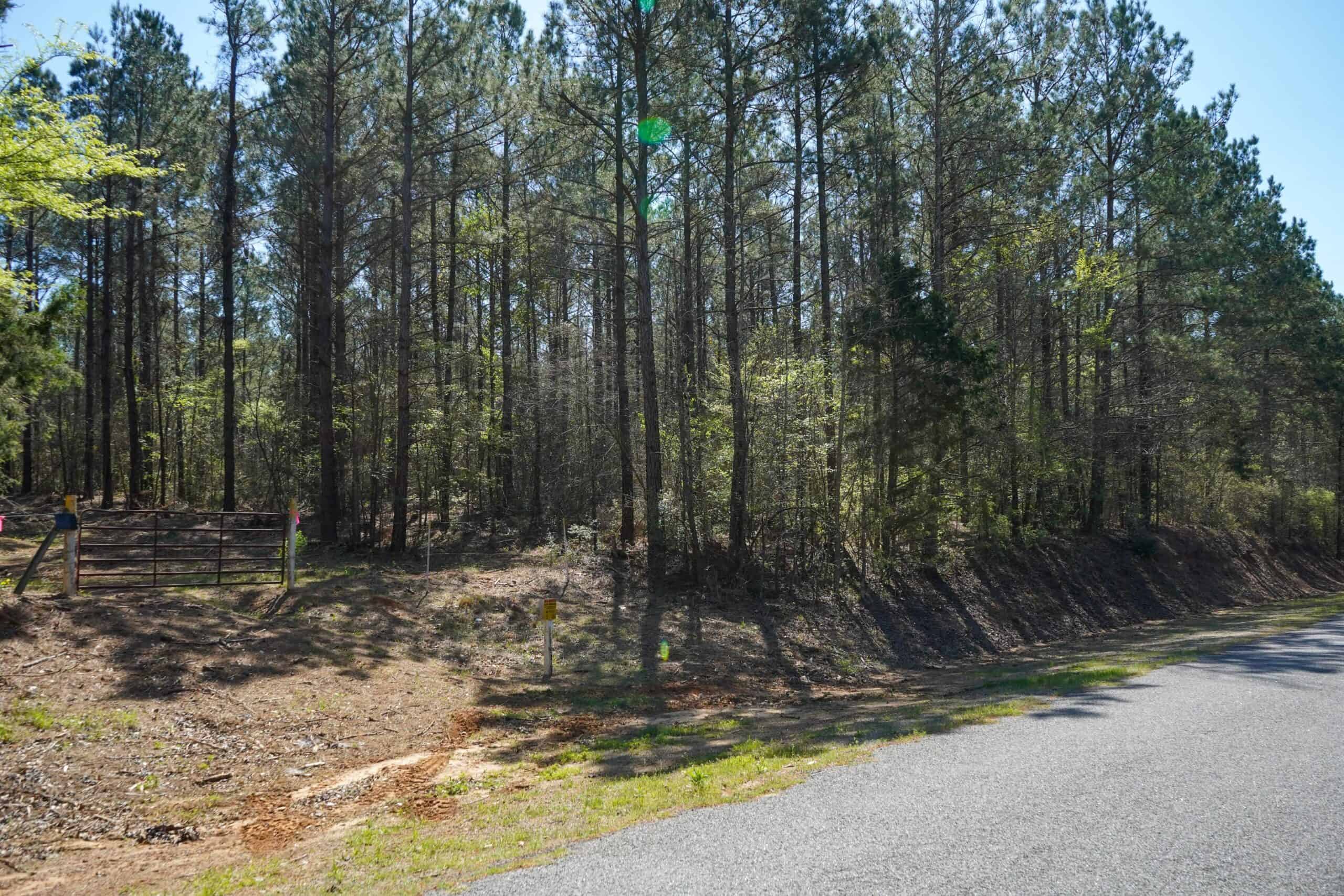 Northeast Lincoln Parish Timberland for Sale