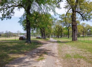 East Texas Recreational Ranch Near Ben Wheeler in Van Zandt County