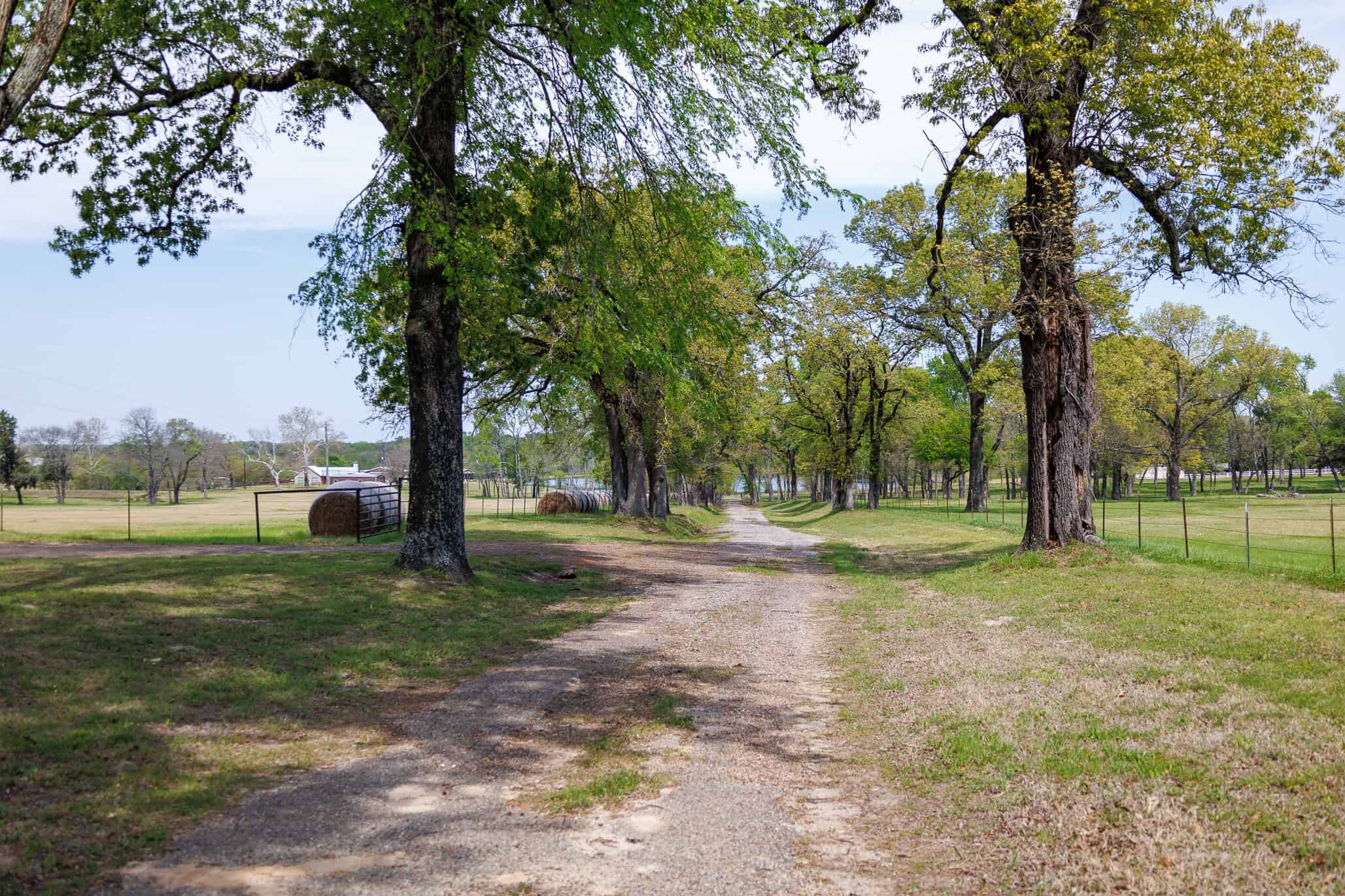 East Texas Recreational Ranch Near Ben Wheeler in Van Zandt County