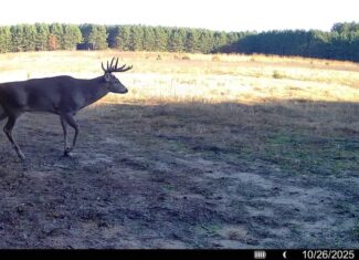 160± acre Monroe County property Located off dead end road,