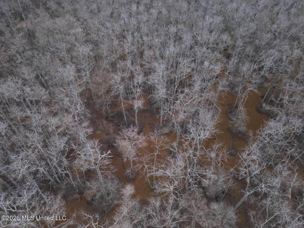 431± Acres with Calcasieu River Frontage in Calcasieu Parish