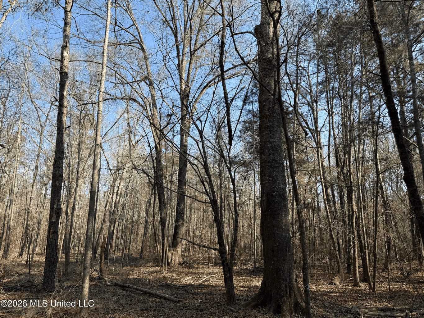Land for Sale in Simpson County
