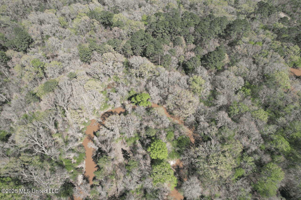 123± Acres Centreville MS on Chance Rd Amite County