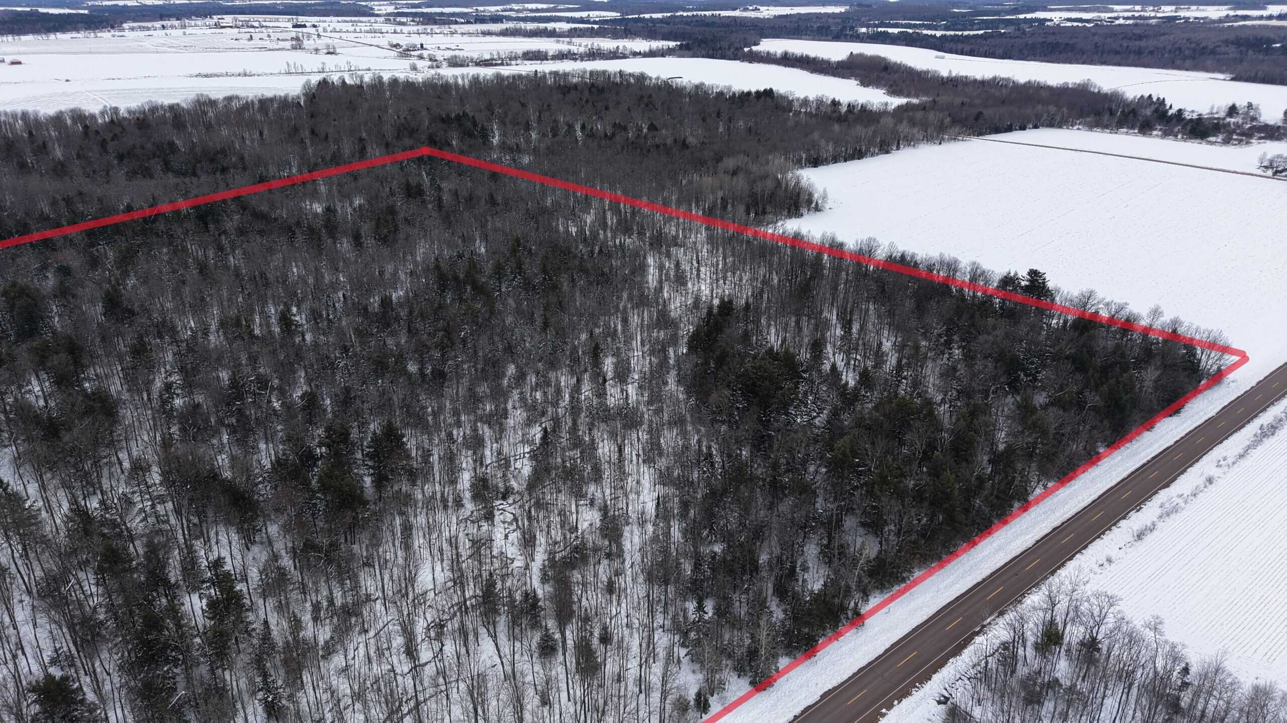 43+/-  Acre Marathon County Hunting, Timber and Rec Tract For Sale