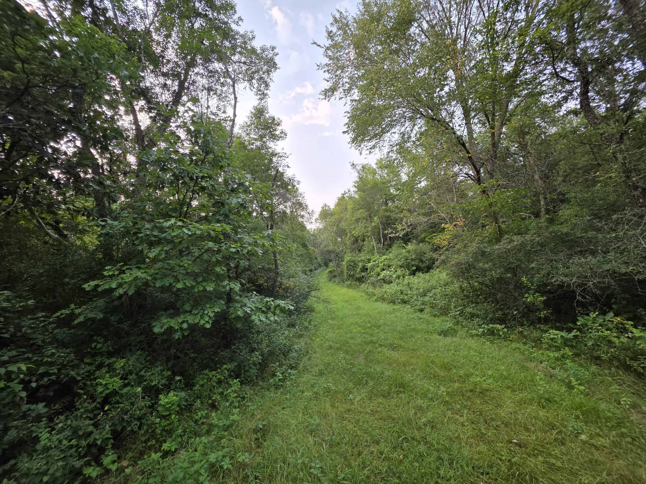 160± acre Monroe County property Located off dead end road,