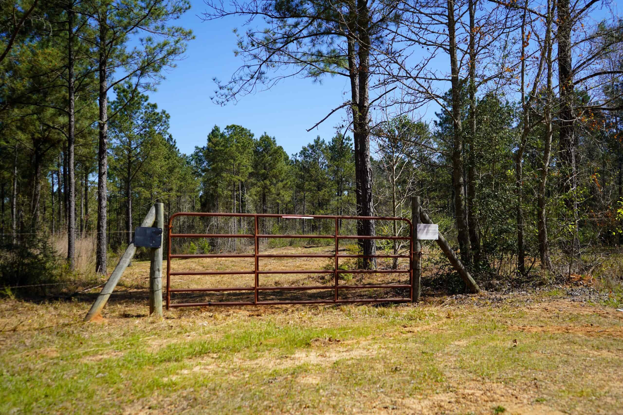 Northeast Lincoln Parish Timberland for Sale