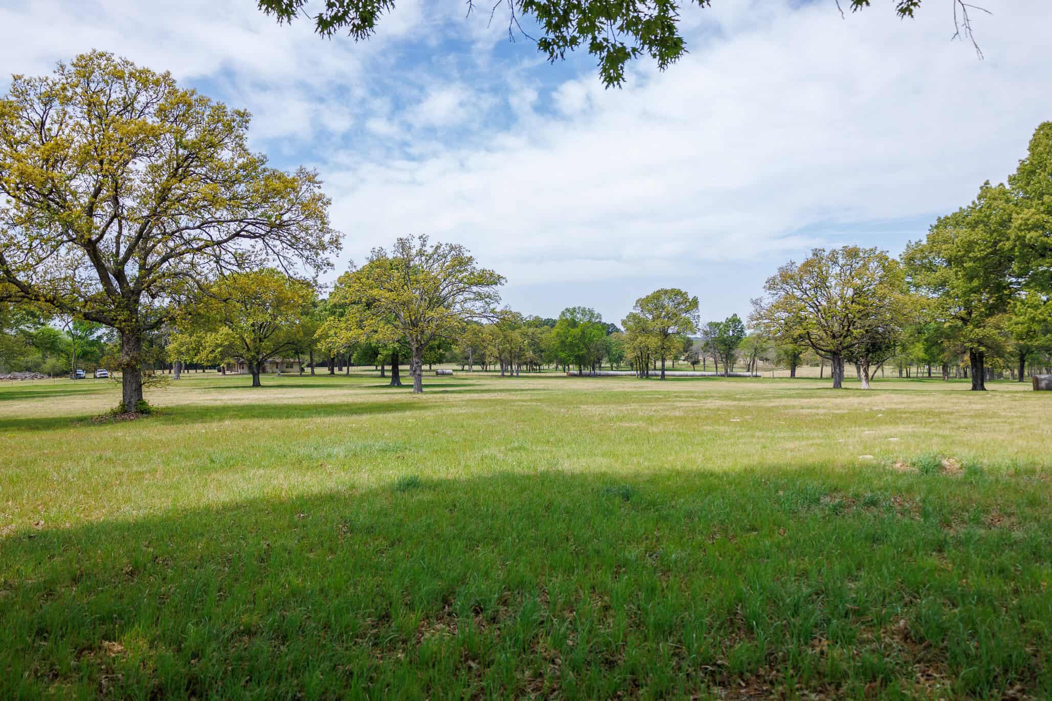 East Texas Recreational Ranch Near Ben Wheeler in Van Zandt County