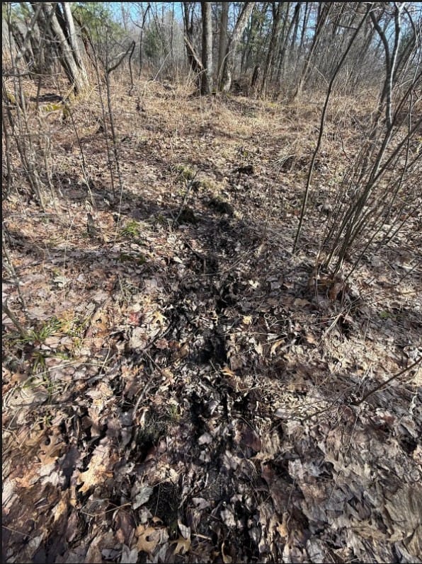 40-Acre Recreational Hunting Tract in Central Monroe County