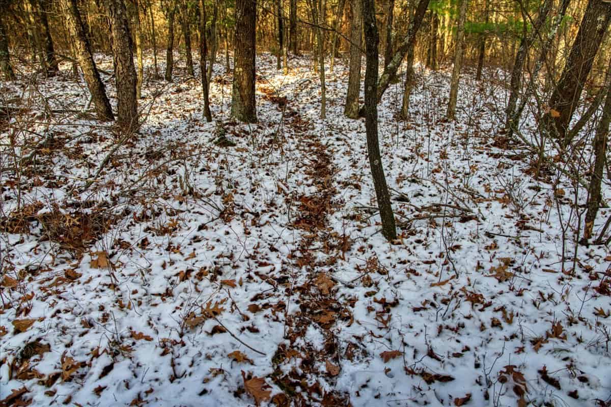 160± acre Monroe County property Located off dead end road,