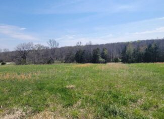 30 Acre m/l Hunting Tract near Wayne Helton Conservation