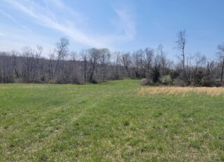 30 Acre m/l Hunting Tract near Wayne Helton Conservation