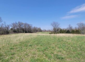 30 Acre m/l Hunting Tract near Wayne Helton Conservation