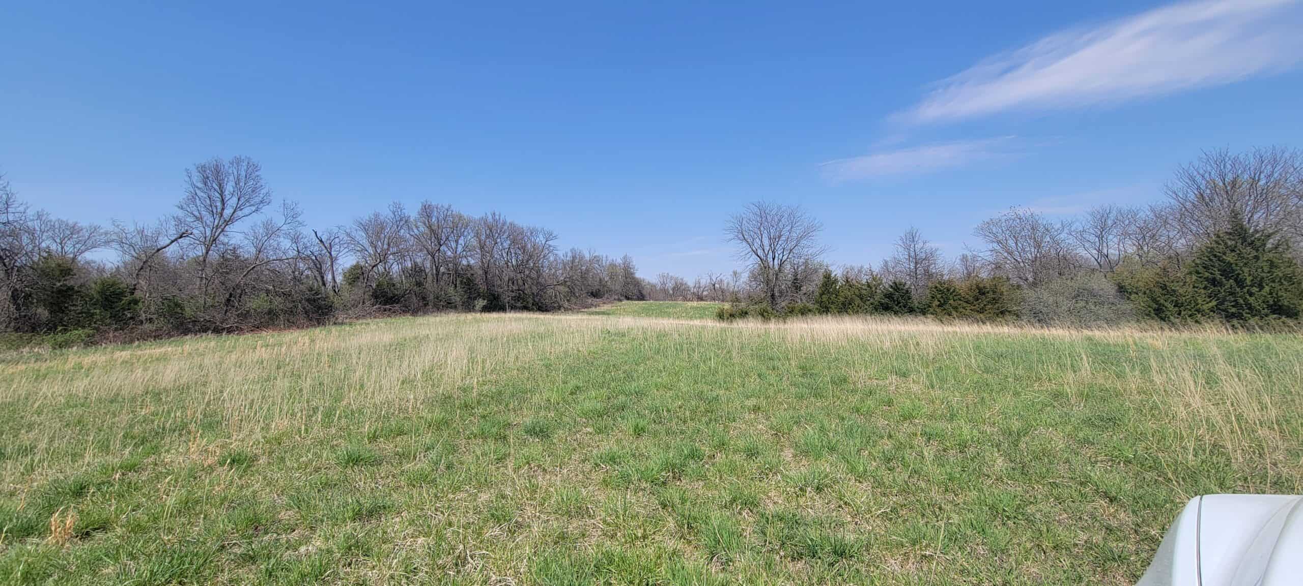 30 Acre m/l Hunting Tract near Wayne Helton Conservation