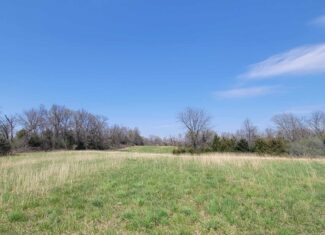30 Acre m/l Hunting Tract near Wayne Helton Conservation
