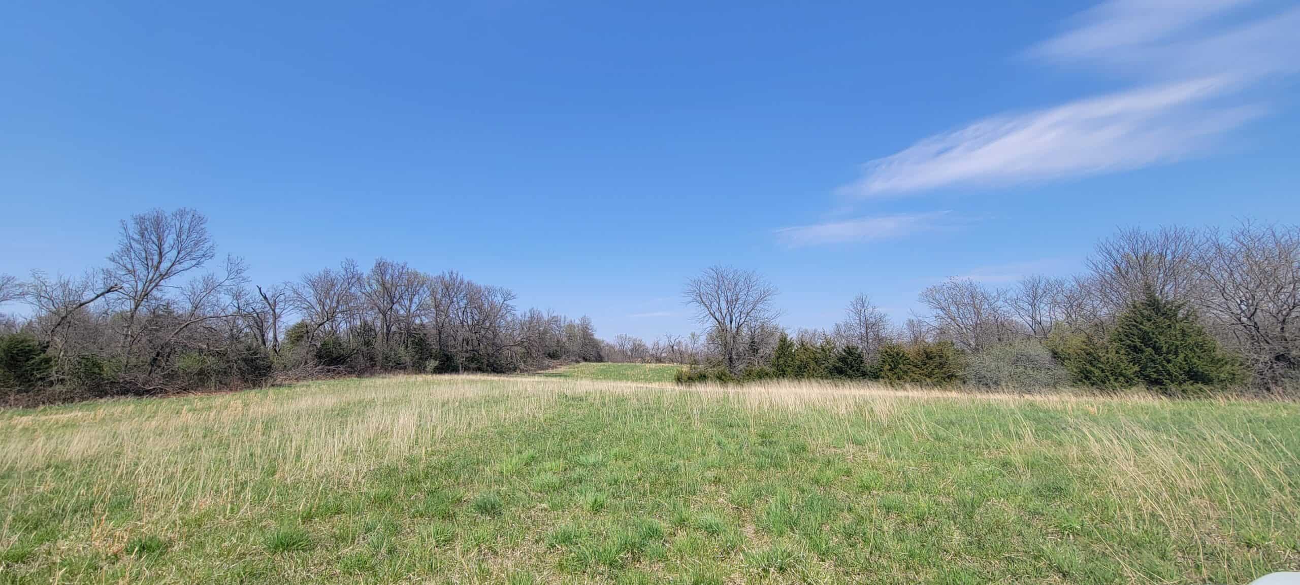 30 Acre m/l Hunting Tract near Wayne Helton Conservation