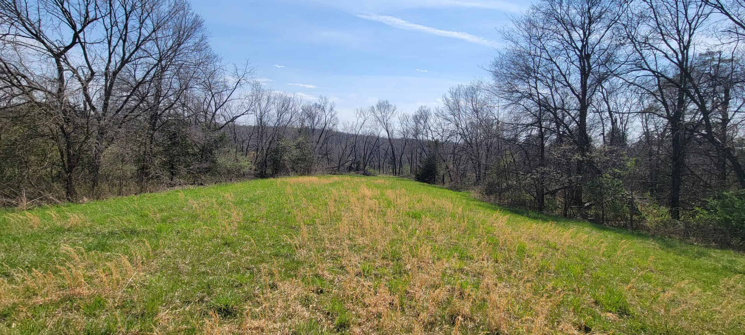 30 Acre m/l Hunting Tract near Wayne Helton Conservation