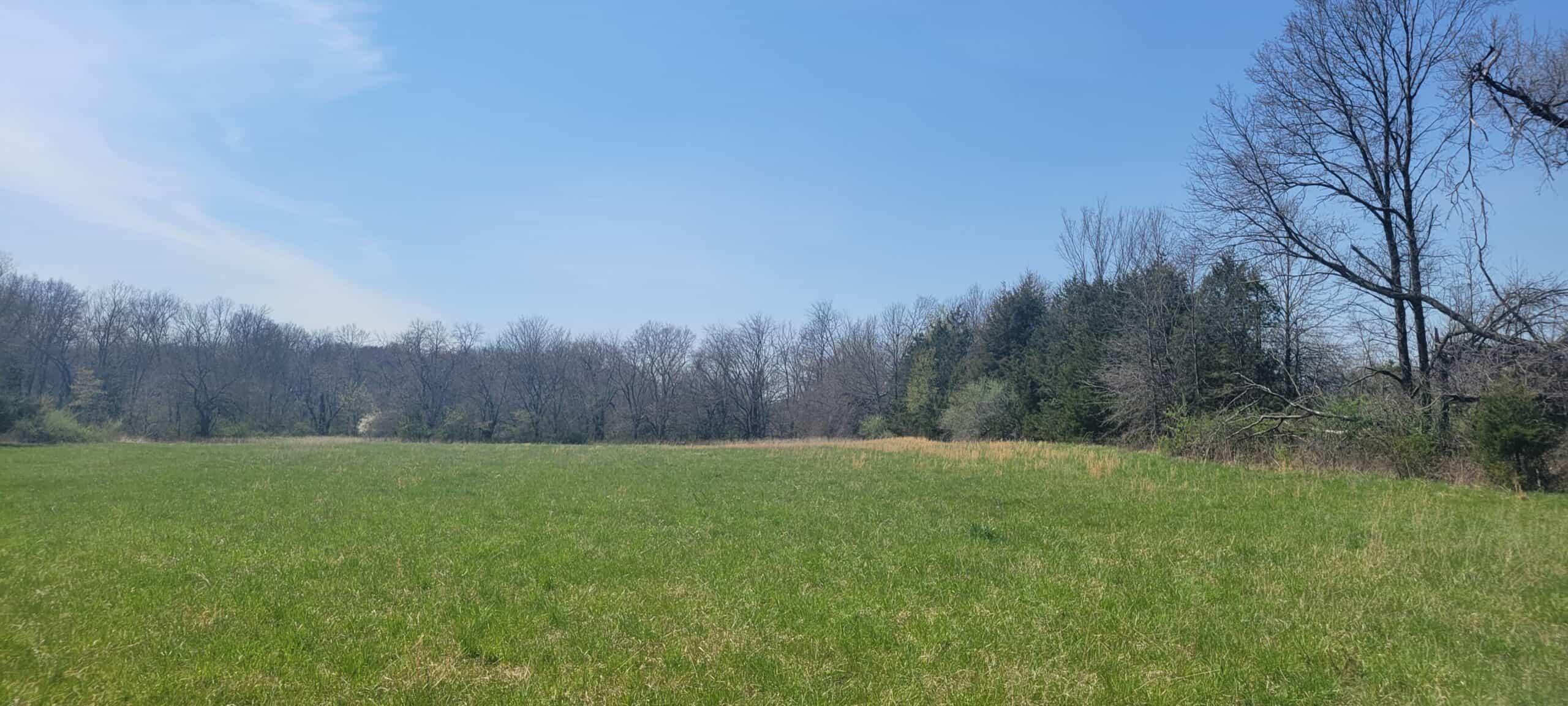 30 Acre m/l Hunting Tract near Wayne Helton Conservation