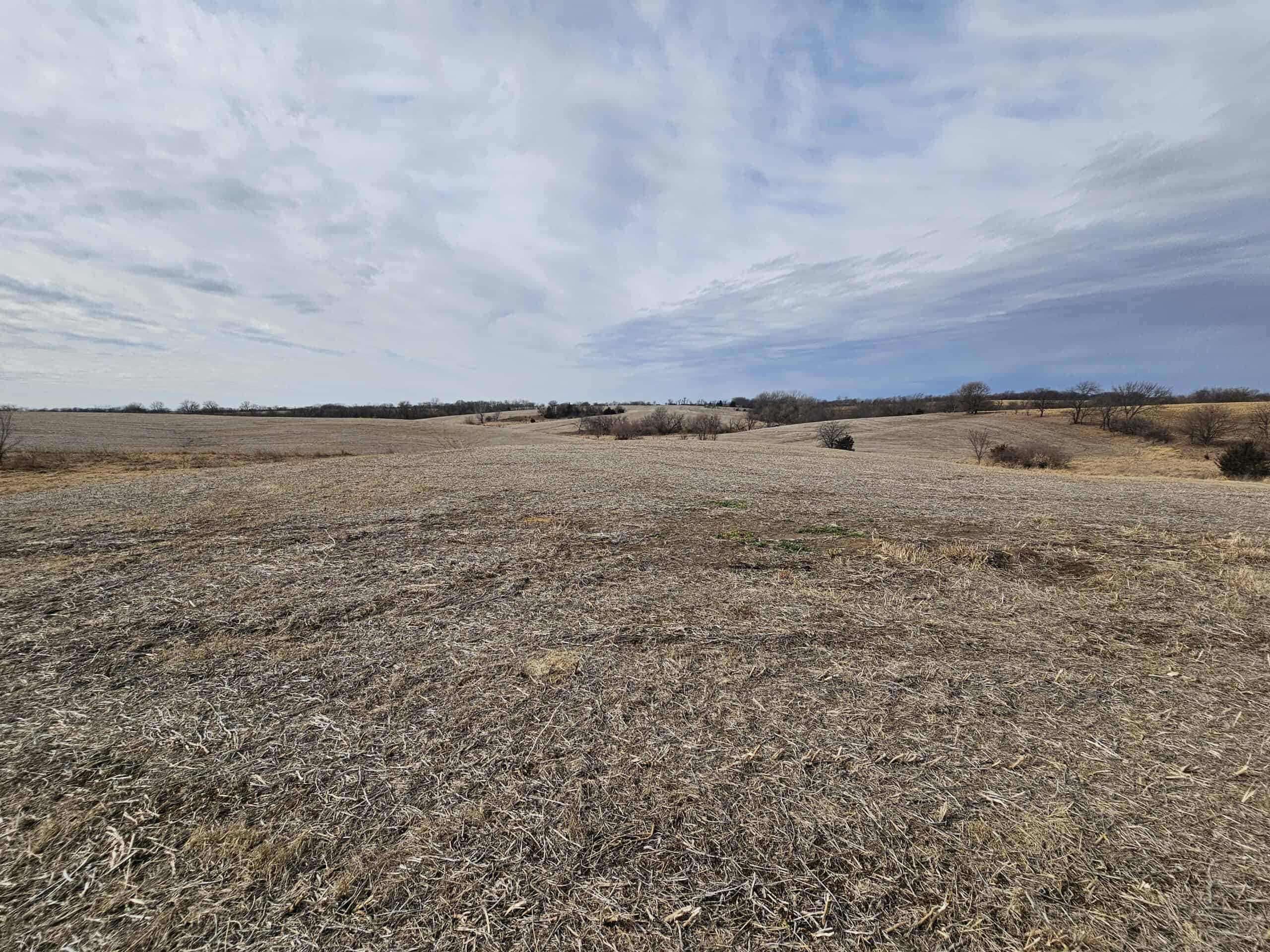 Mercer County, Missouri 80 Acres For Sale