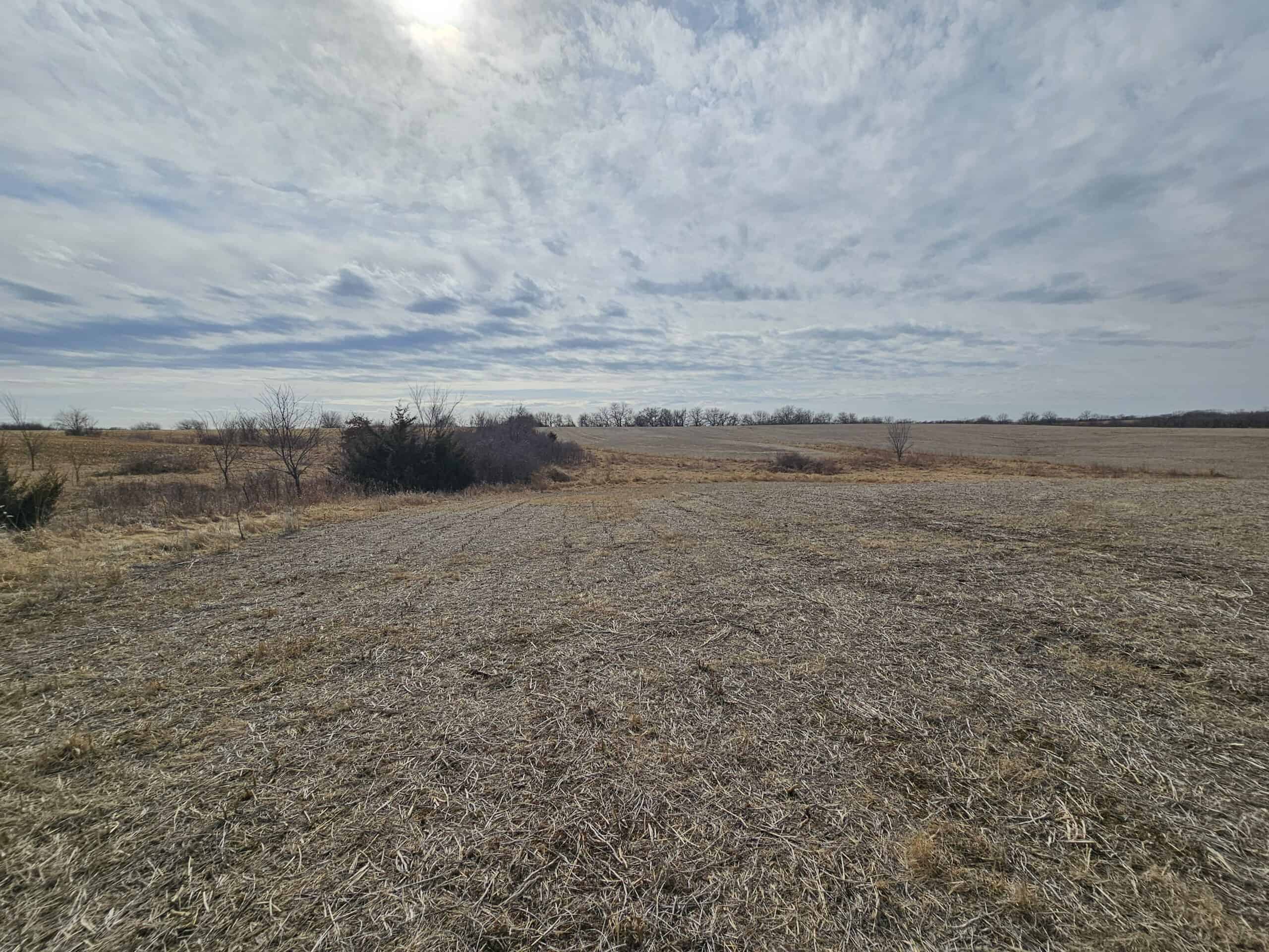 Mercer County, Missouri 80 Acres For Sale