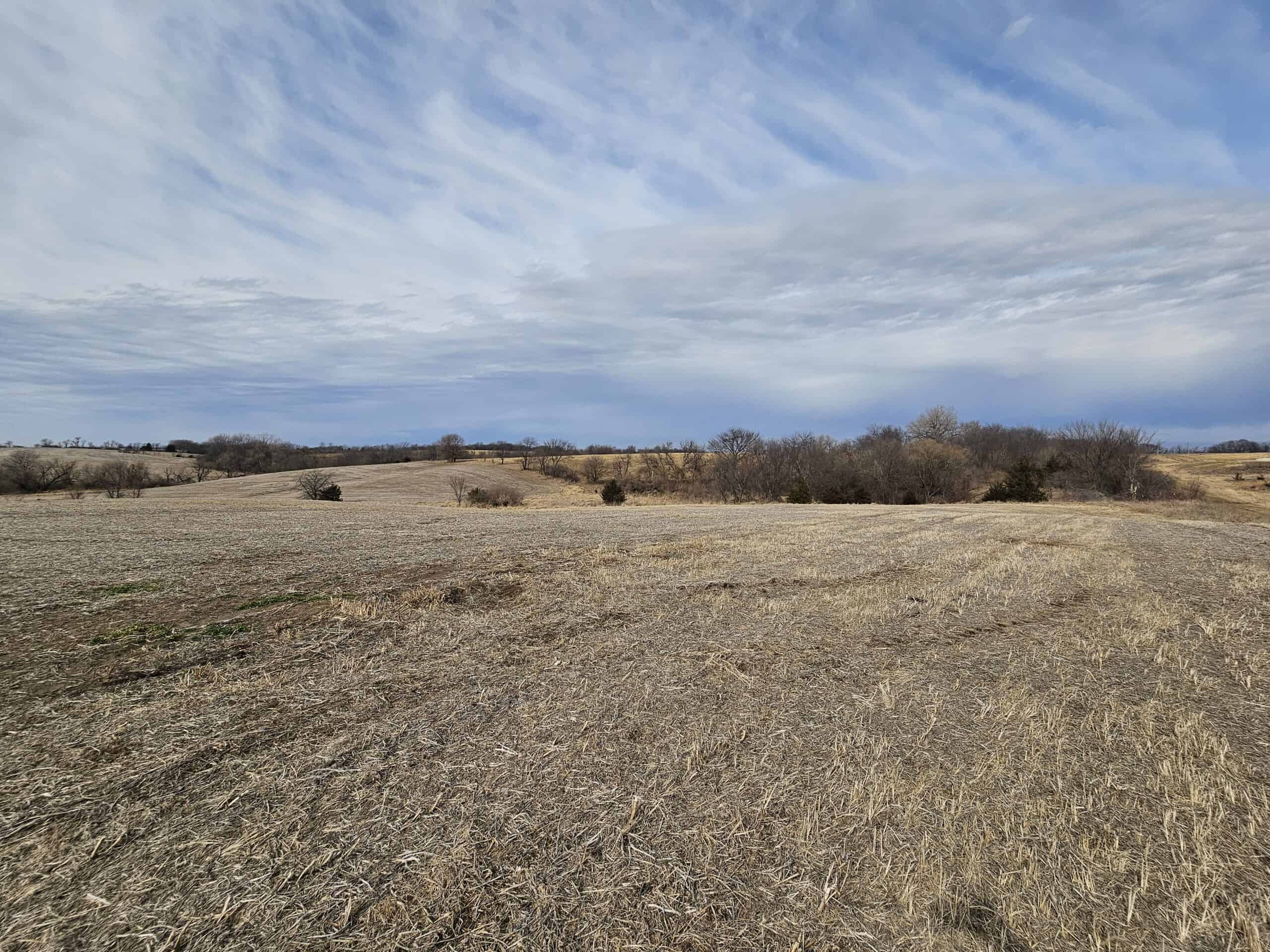 Mercer County, Missouri 80 Acres For Sale