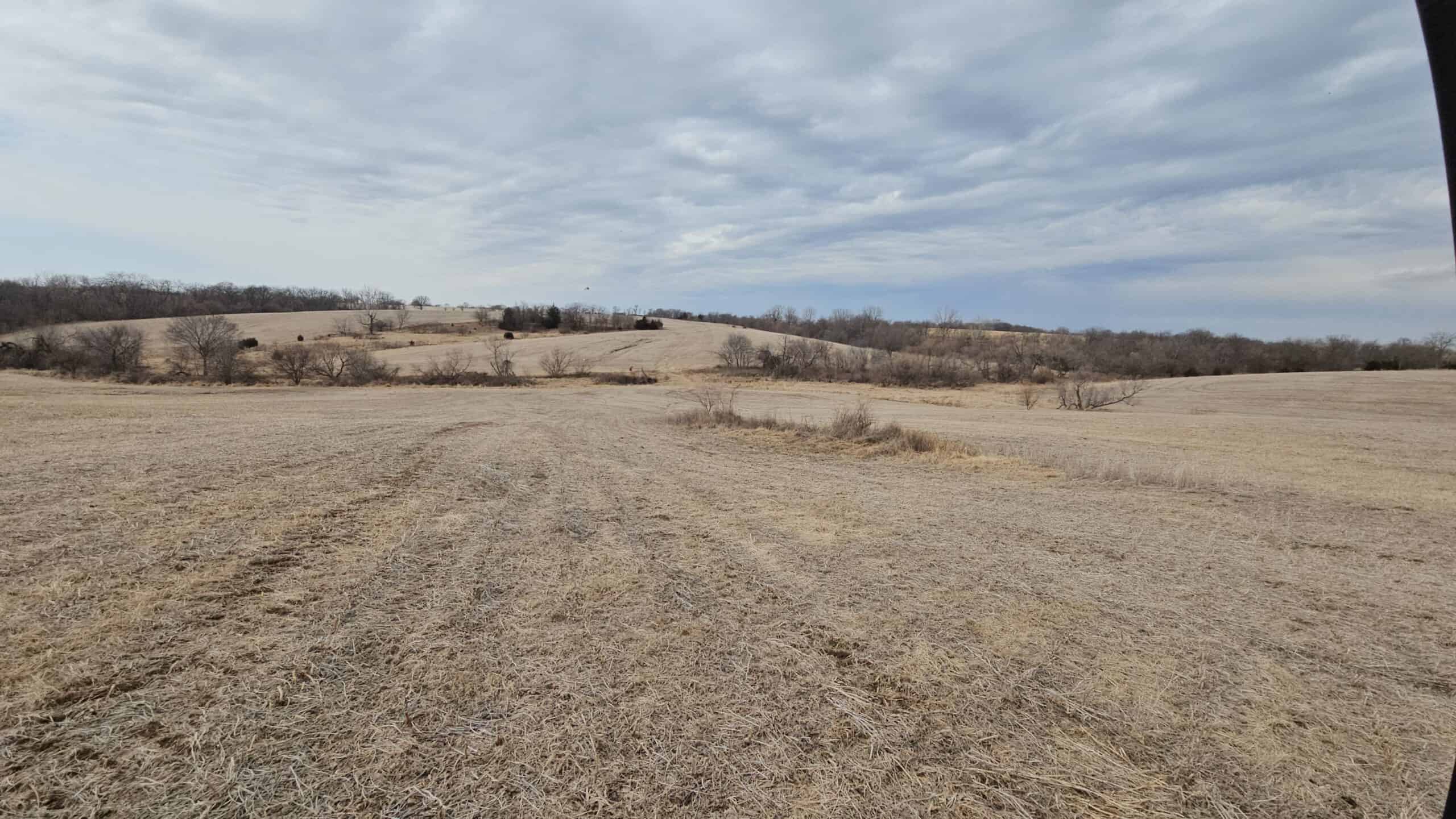 Mercer County, Missouri 80 Acres For Sale