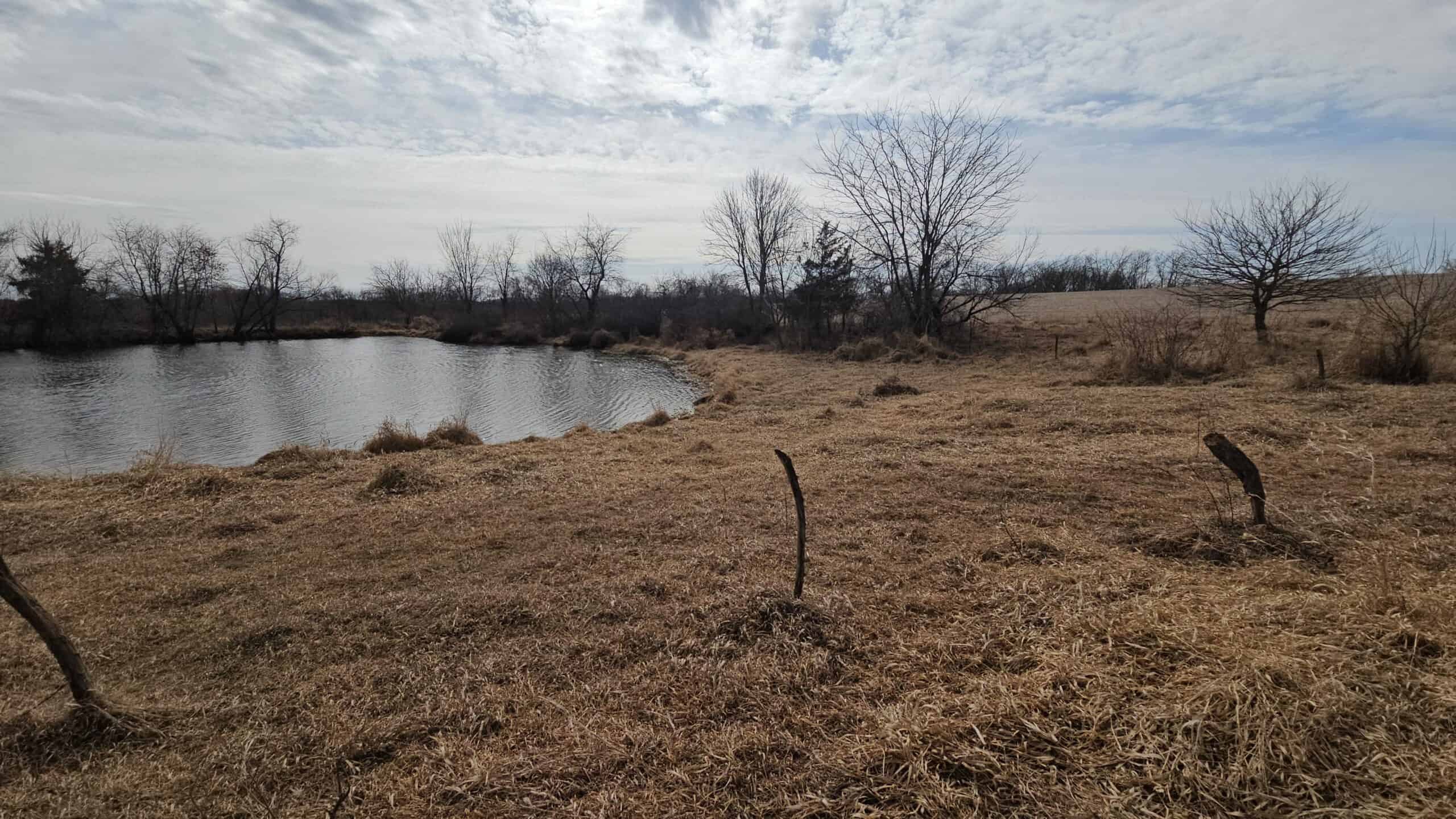 Mercer County, Missouri 80 Acres For Sale