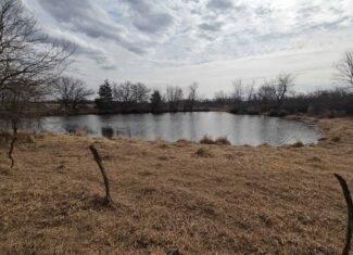 Mercer County, Missouri 80 Acres For Sale