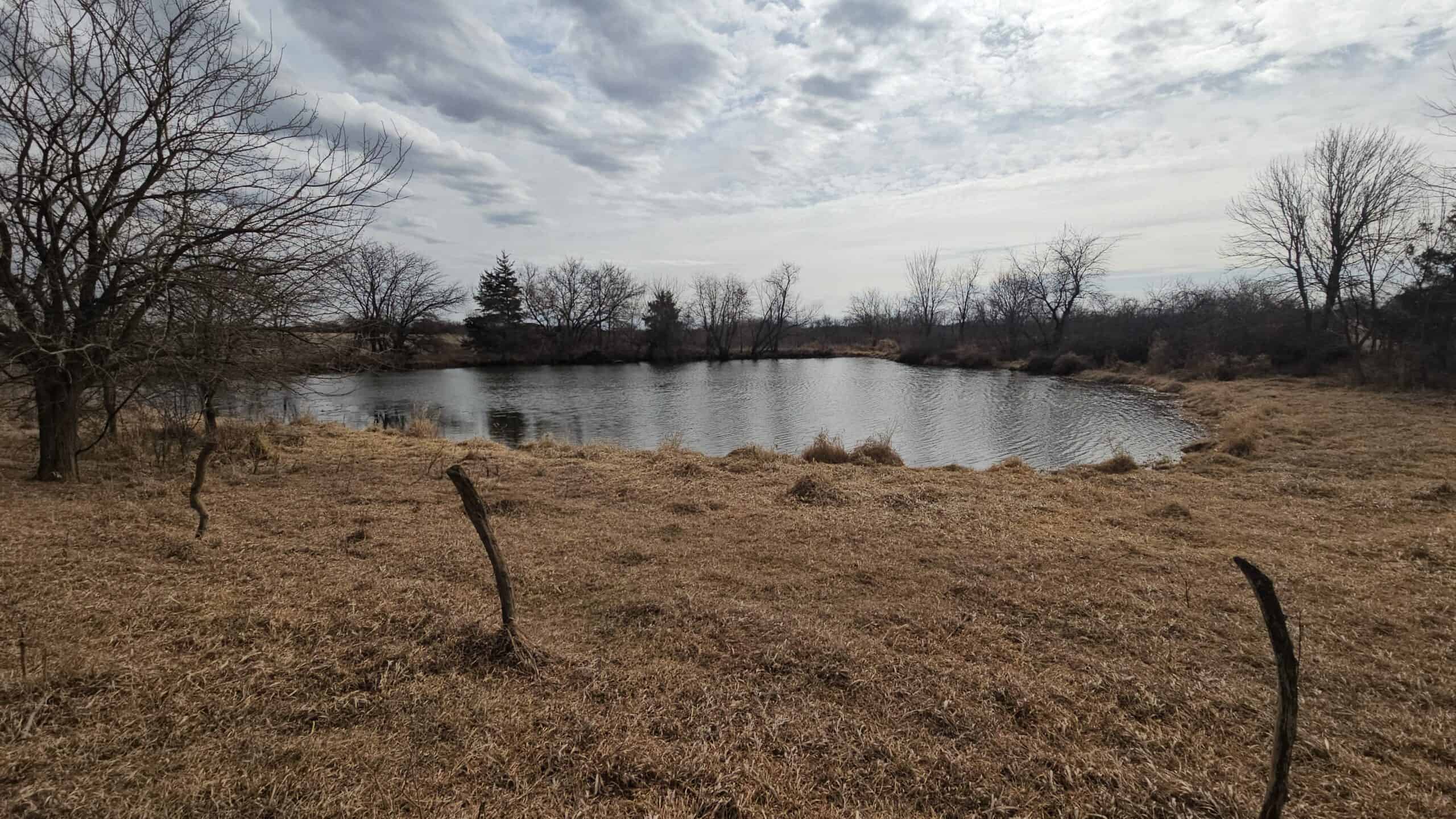 Mercer County, Missouri 80 Acres For Sale