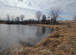 Mercer County, Missouri 80 Acres For Sale