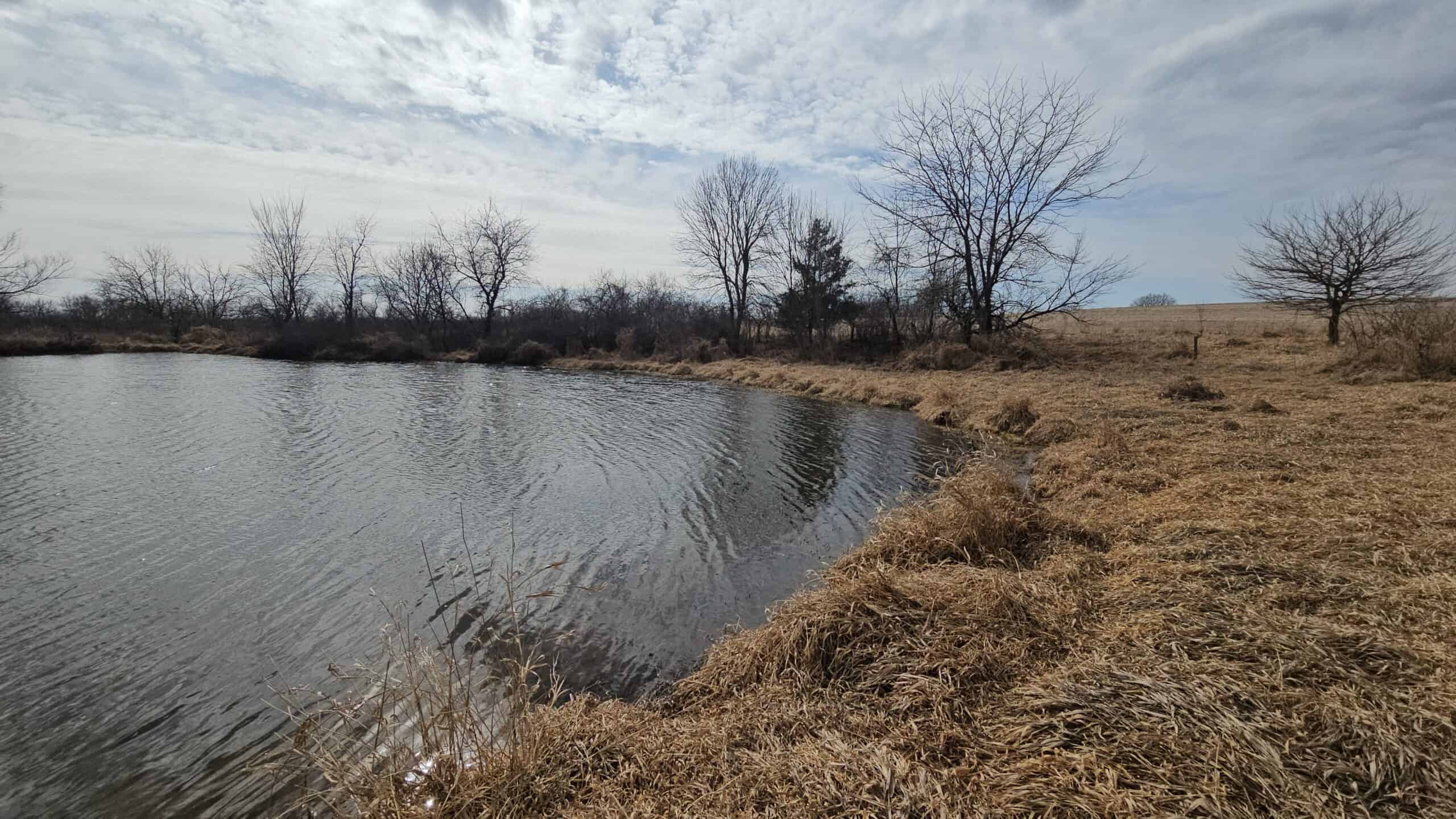 Mercer County, Missouri 80 Acres For Sale